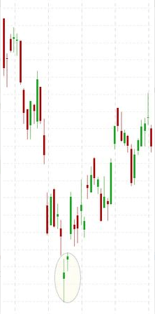 patrón vuelta en un día o isla patrón vuelta en un día o isla